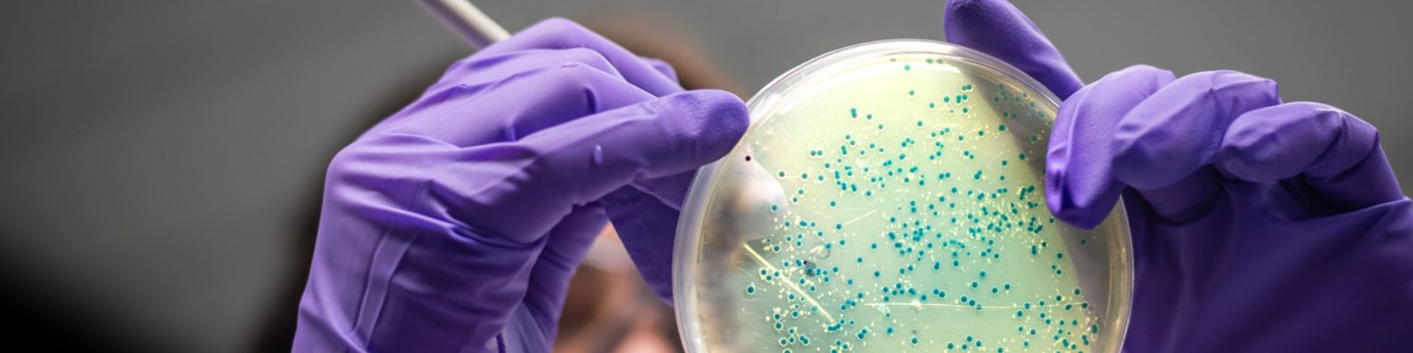 US BioPharma Giant uses AiRo’s Cost Optimization Framework to Reduce Expensive Cloud Bills